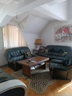 Vranje City Center, Penthouse Delux Apartment